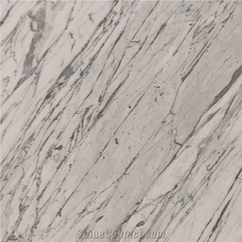 White Marble Slabs Italy Natural Stone Bianco Statuario