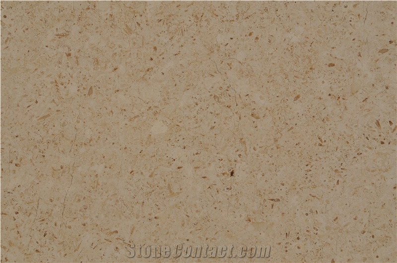 Ancient Earth Limestone Slab And Tiles