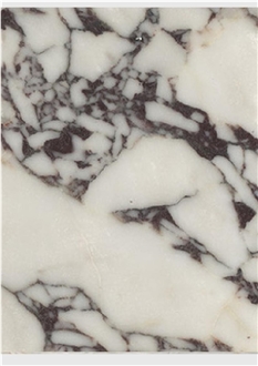 Bollicine Di Vino Marble Tiles