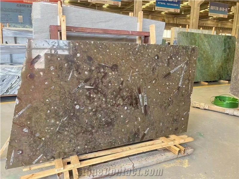 Marble Fossil Brown Slabs For Kitchen Floor Tiles