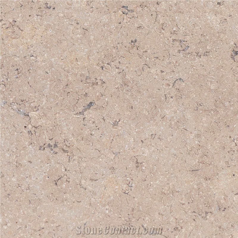 Sinai Pearl Limestone Honed Tiles