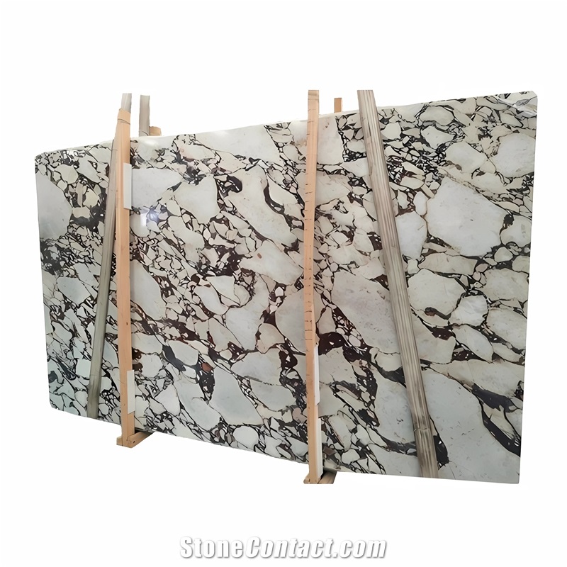 Calacatta Viola Marble Floor Tiles For Wall