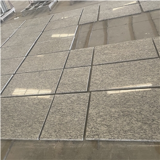 Polished Samoa Granite Cut-To-Size Floor Tile