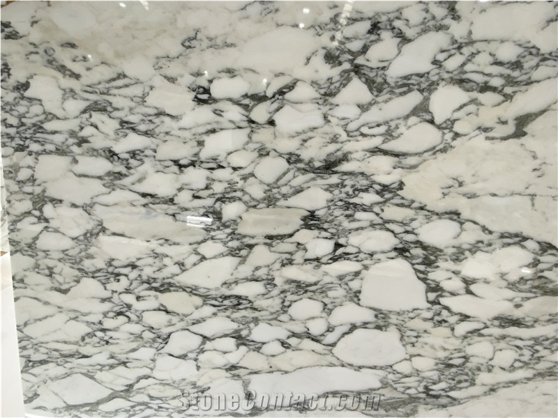 Arabescato White Marble Stone Slab