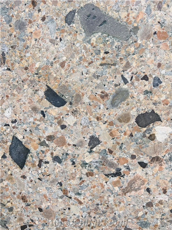 Beige Natural Terrazzo Fossil Marble Slabs