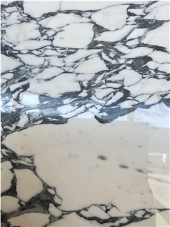 White Arabescato Marble Blocks
