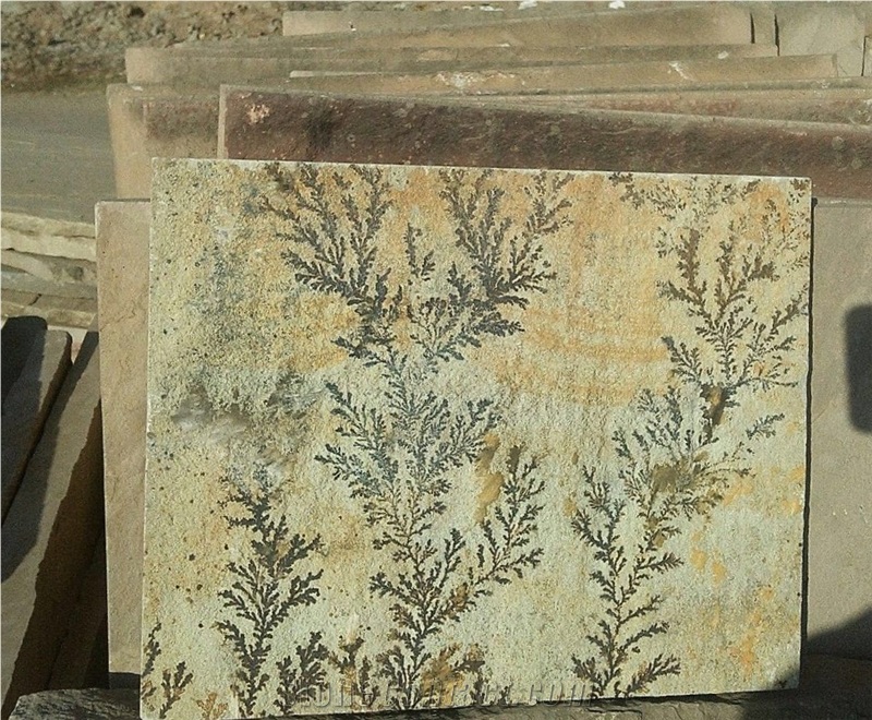Fossil Mint Sandstone Tiles