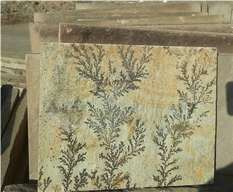 Fossil Mint Sandstone Tiles