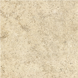Saint Marc Limestone