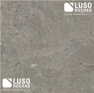 Valverde LR Limestone Tiles