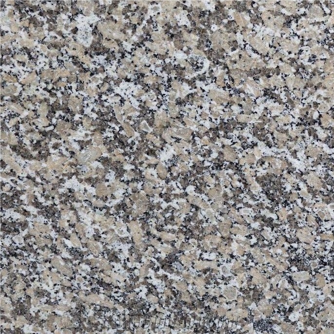 Mondariz Granite Tile
