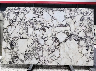 Calacatta Viola Marble Slabs