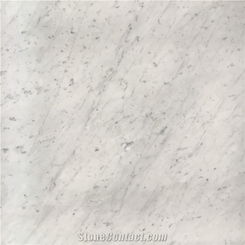 Italian White Marble Slabs Statuario Carrara For Bath Floor