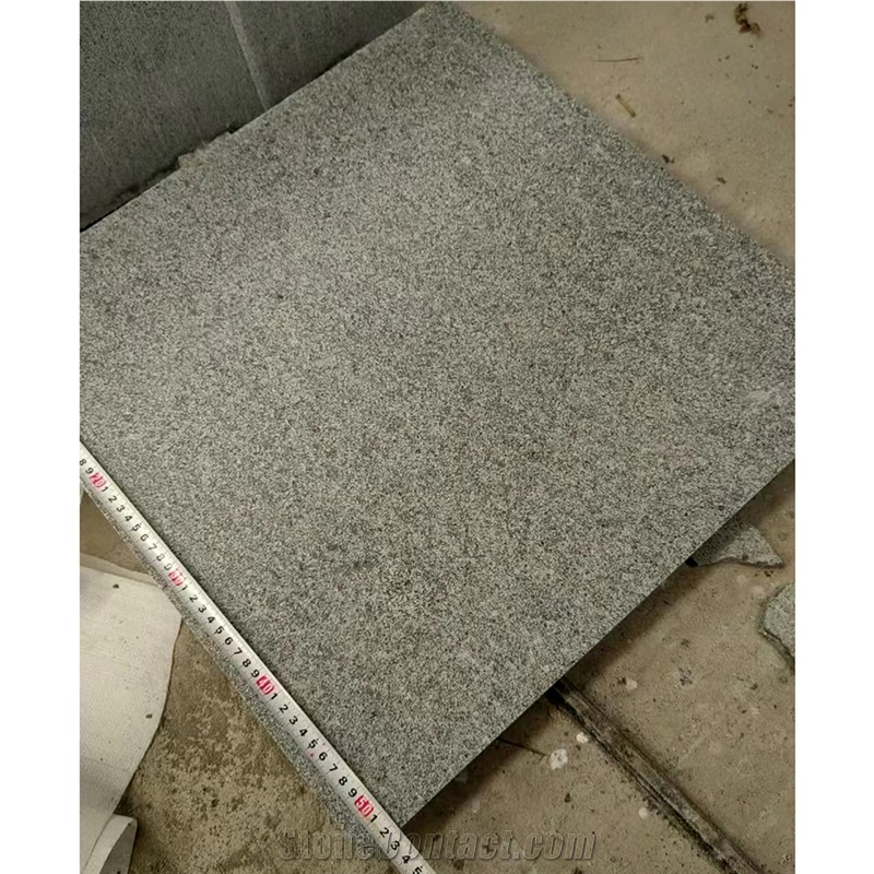 Sesame White Gold Granite Floor Tile, White Flower Granite