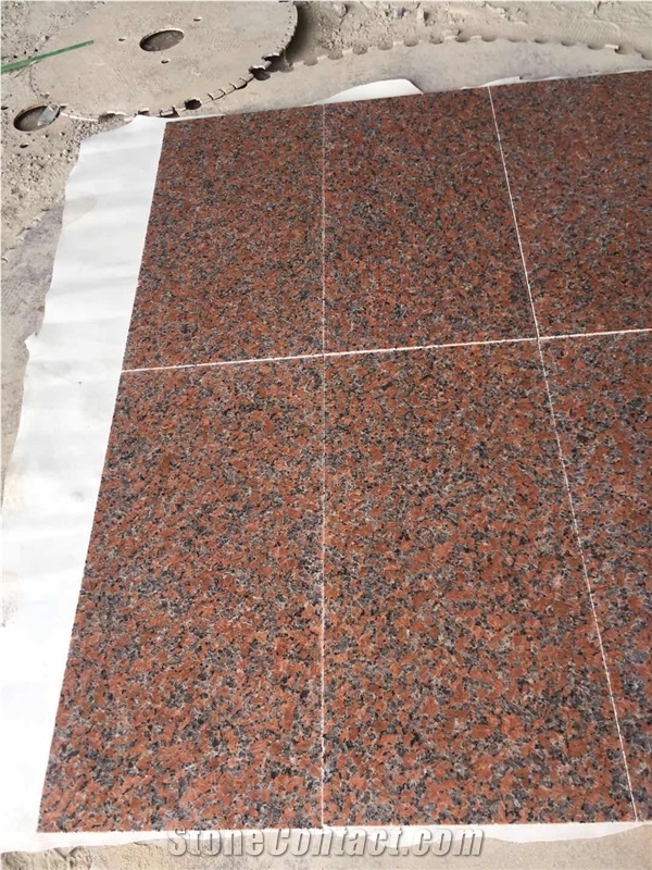 Chinese G652 Maple Leaf - Maple Red Granite Slabs