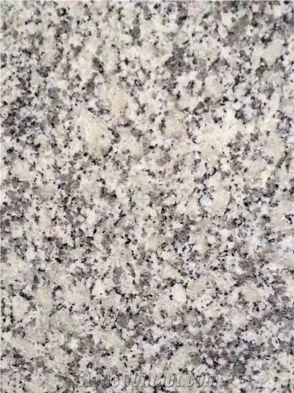 G602 Granite Slabs