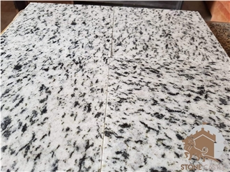 Halayeb White Granite Slabs