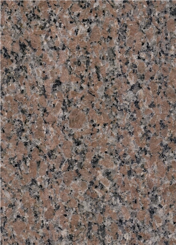 Red Aswan Granite Slabs
