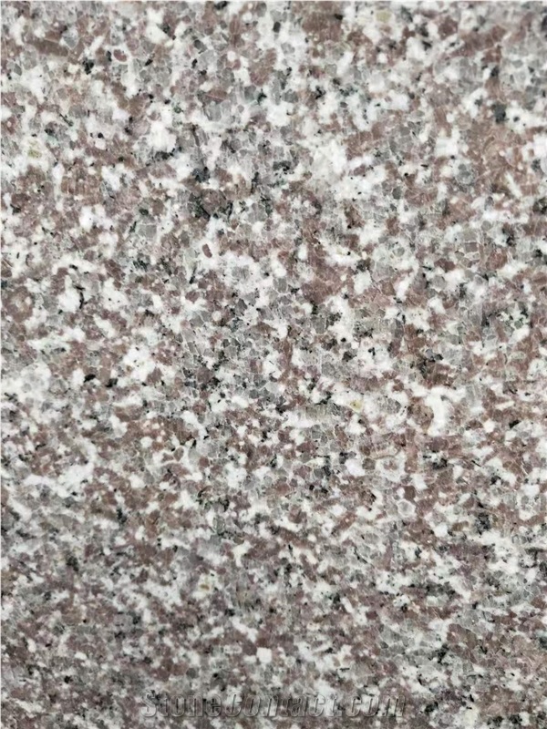 China Polished Granite Stone Project Slabs
