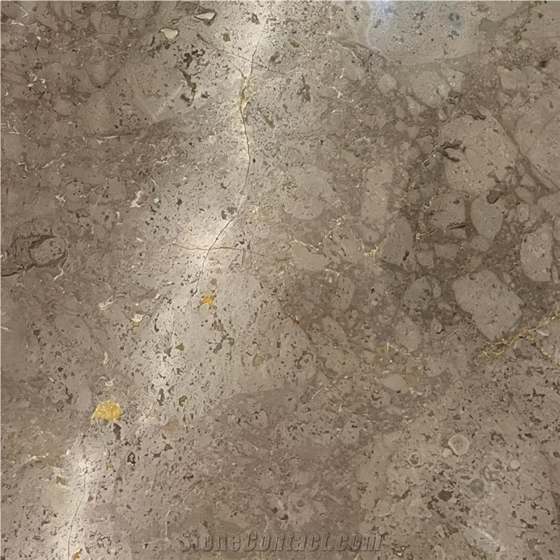 Camelot Gray Marble 