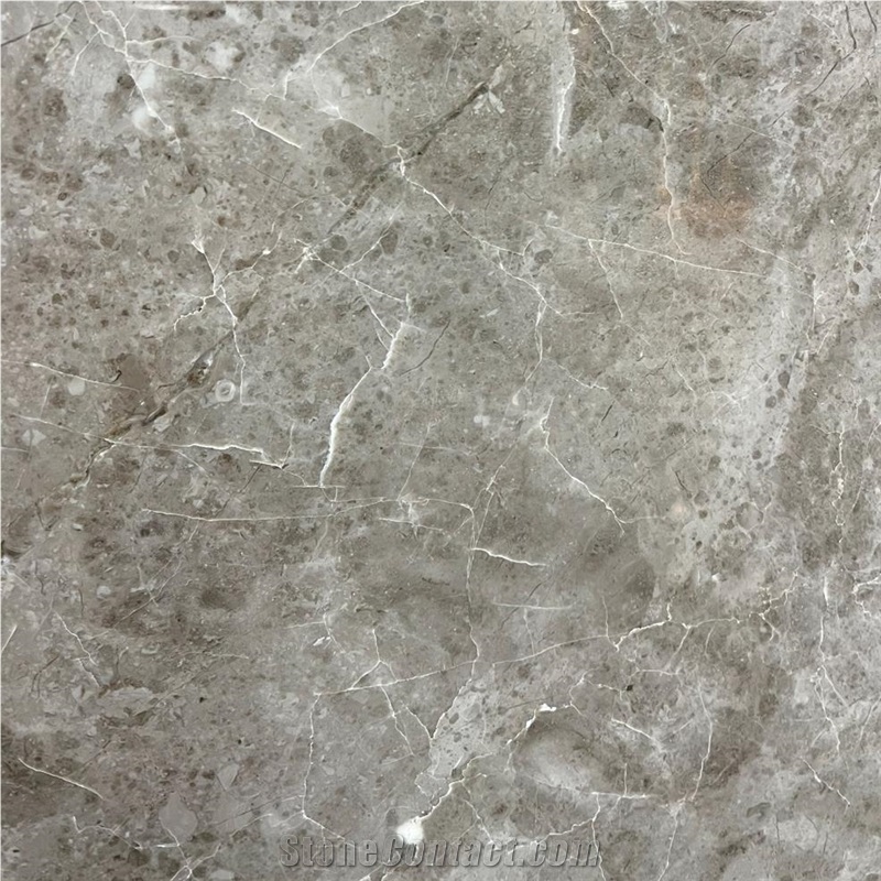 Cloudy Gray Marble 