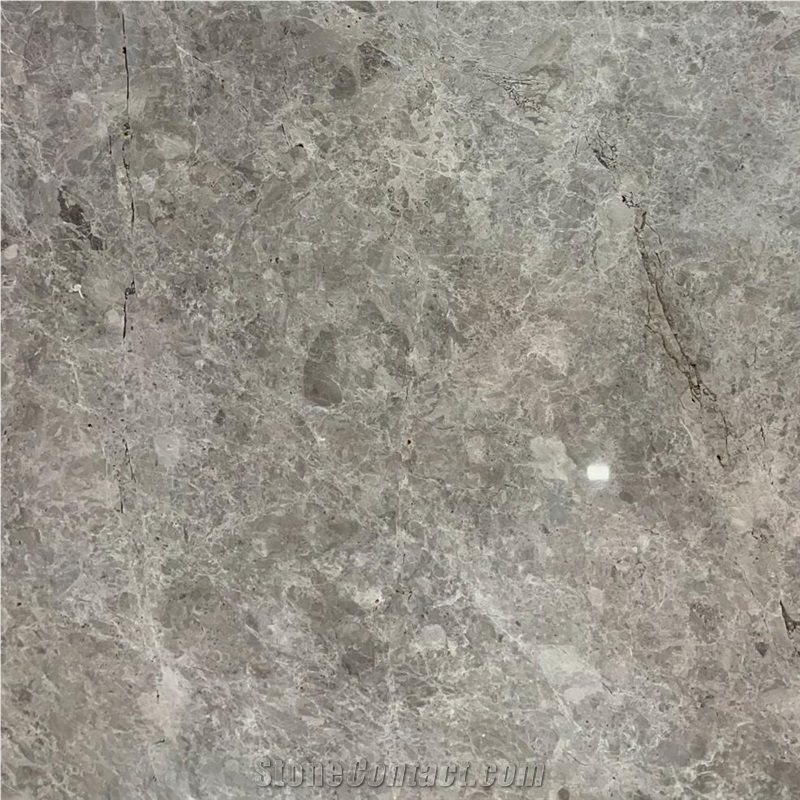 Iltas Grey Marble Tile