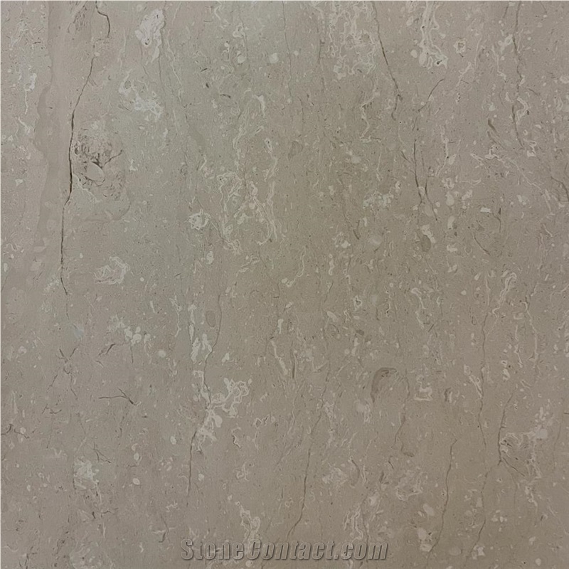 Milano Fossil Marble Tile