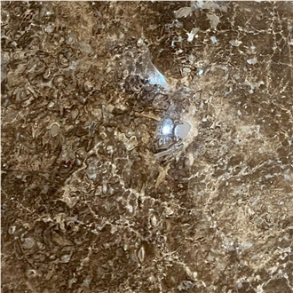 Taurus Brown Marble