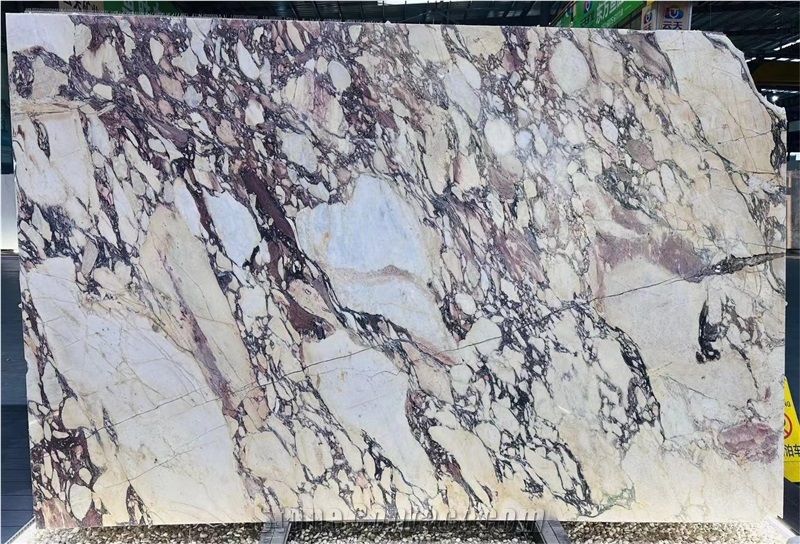 Good Price Calacatta Viola Marble Slabs