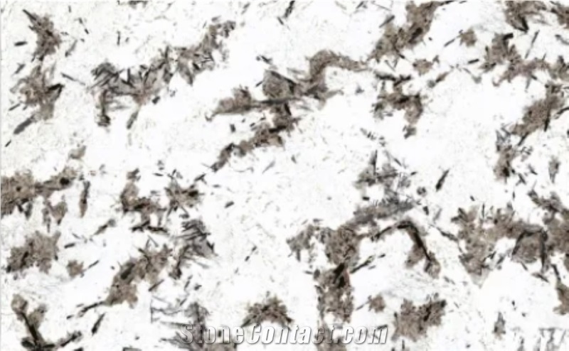Interior Wall Decor Splendor White Granite Slab