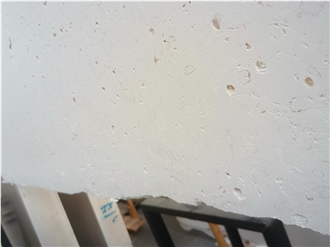 Lvory White Shell Limestone Slabs