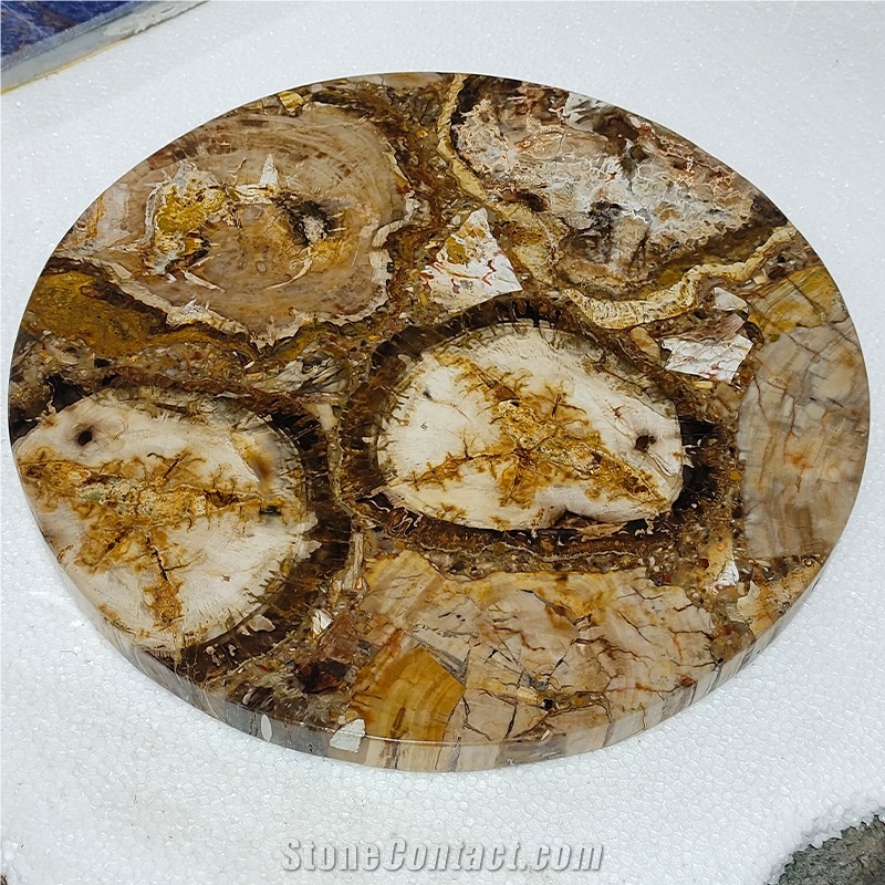 Largest Size Petrified Wood Gemstone Slabs
