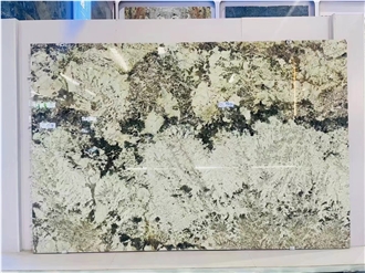 Patagonia White Quartzite Slabs For Interior Wall
