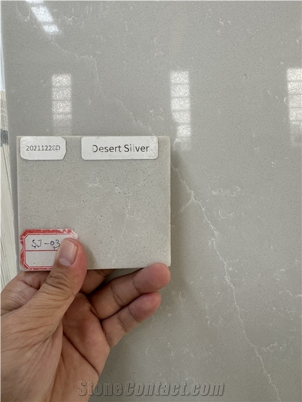 Desert Silver Quartz Slabs Polished