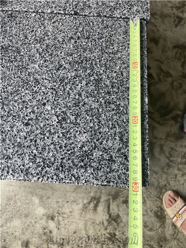 Hainan G654 Granite Tiles