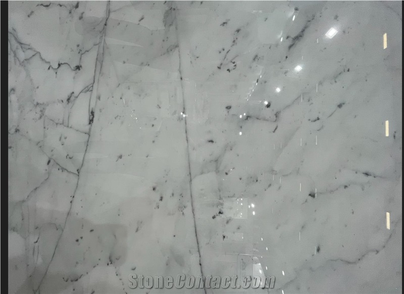 Bianco Statuario Marble Slabs