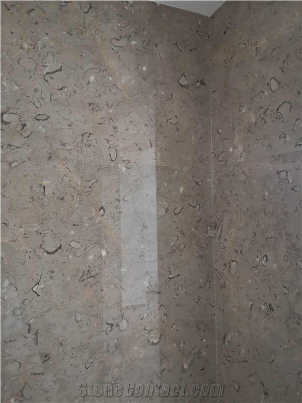 Moon Grey Polished Limestone Slab Wall Tiles