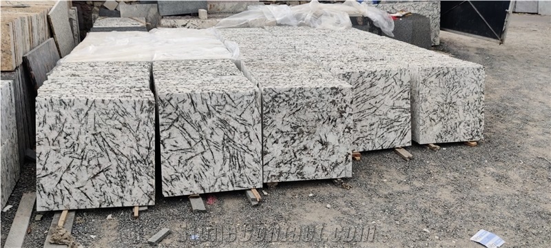 India Alaska White Granite Polished Tiles