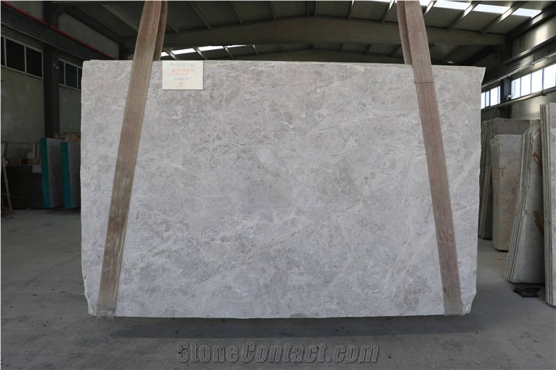 Silver Shadow Marble Slabs - 22219