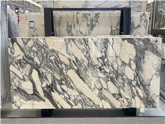 Italy Breccia Viola Marble Slabs For Design,Home Decoration