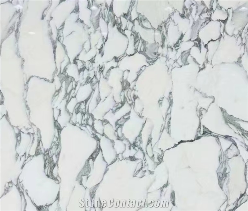 Italy Arabescato White Marble Slab Floor Tile