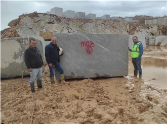 MCD Fossil Grey Marble Quarry