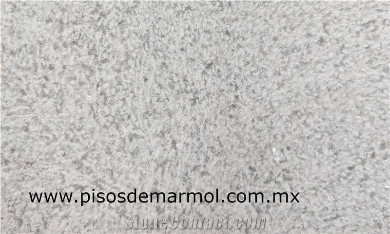 Brushed Ojinaga Limestone Tiles