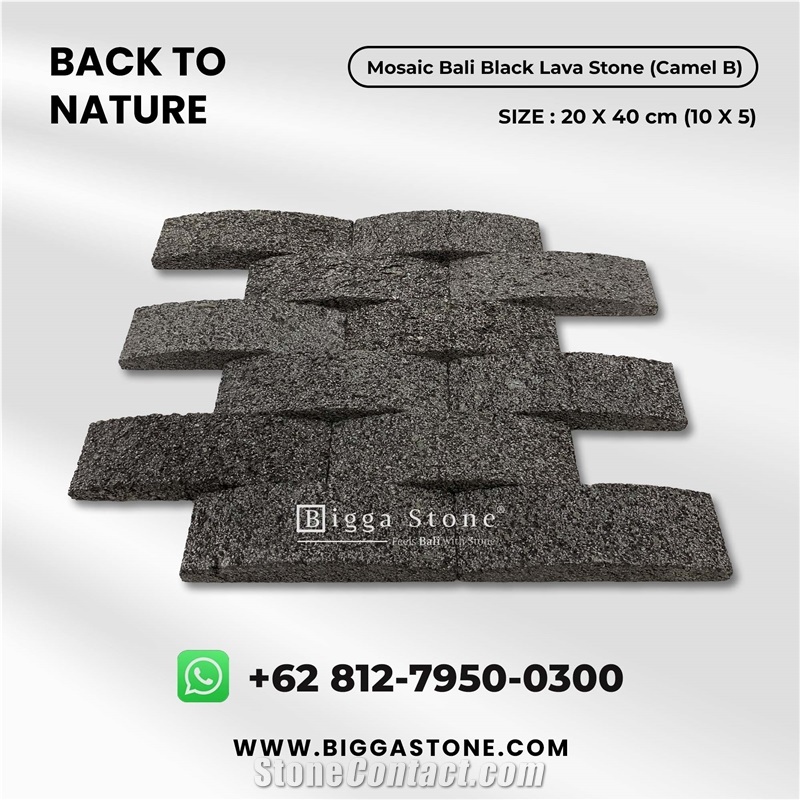 Black Volcanic Lava Stone Wall Mosaic