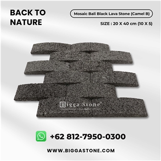 Black Volcanic Lava Stone Wall Mosaic