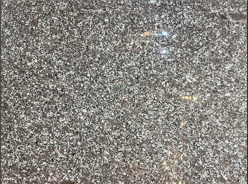 Ezine Grey Granite Slab