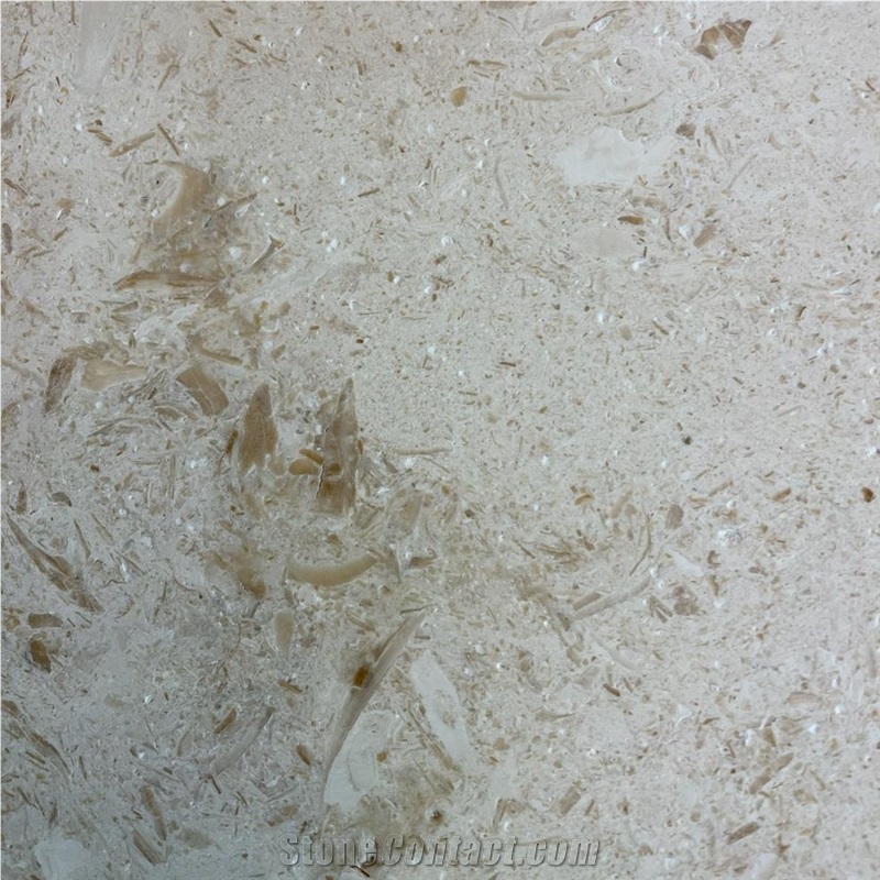 Seashell Limestone 