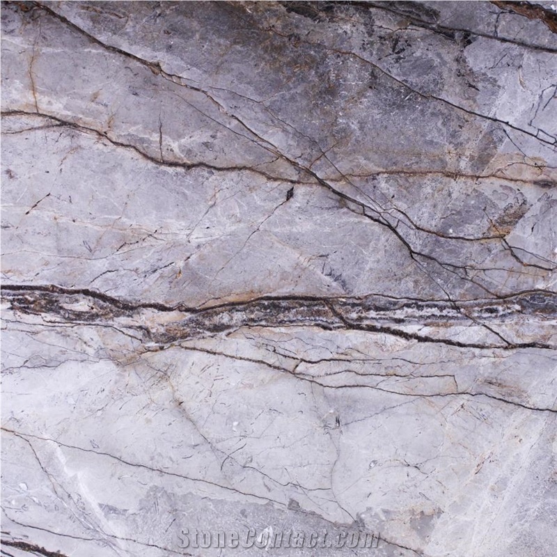 Silver Roots Marble 