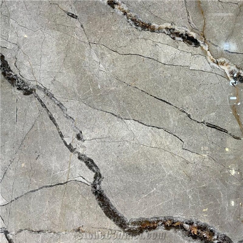 Silver Roots Marble Tile