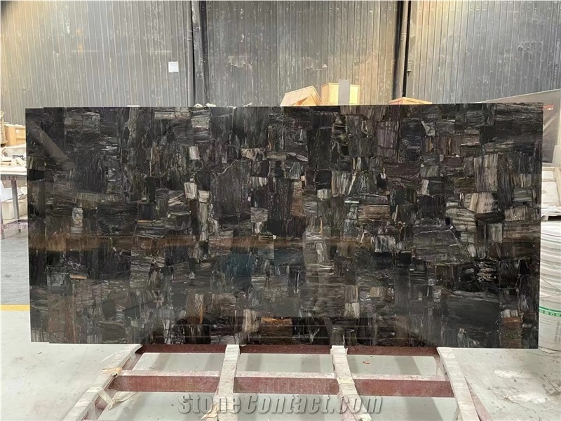 Petrified Wood Black Semiprecious Stone Panels